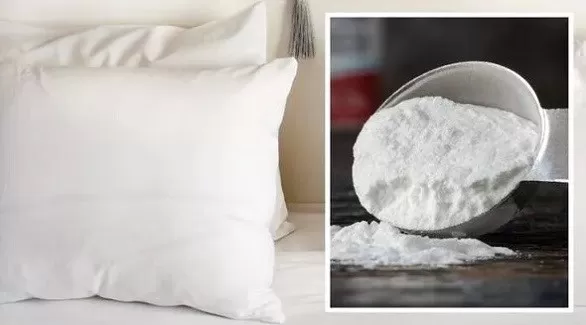 مدار الساعة,أخبار الأسرة