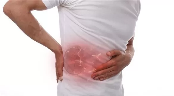 مدار الساعة,أخبار الأسرة