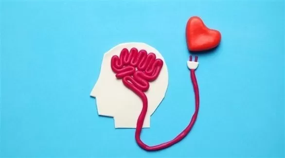 مدار الساعة,أخبار الأسرة