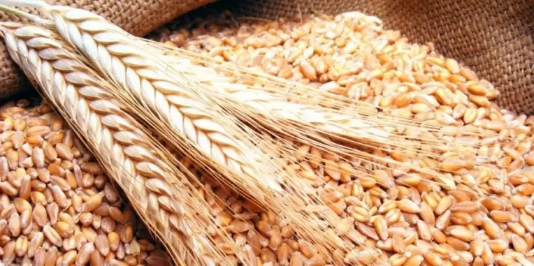 مدار الساعة,أخبار اقتصادية,وزارة الصناعة والتجارة,وزارة الصناعة