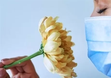 مدار الساعة,أخبار الأسرة,كورونا,كوفيد 19