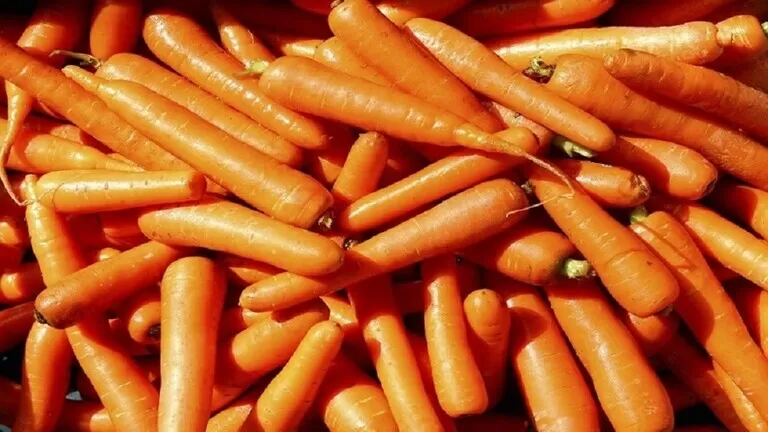 مدار الساعة,أخبار الأسرة