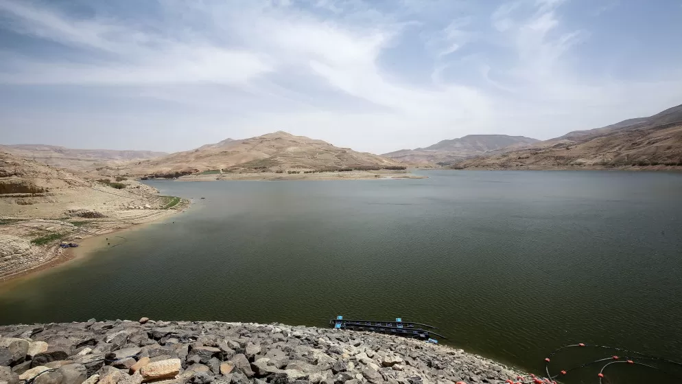 مدار الساعة,أخبار الأردن,اخبار الاردن,سلطة وادي الأردن,وادي الأردن