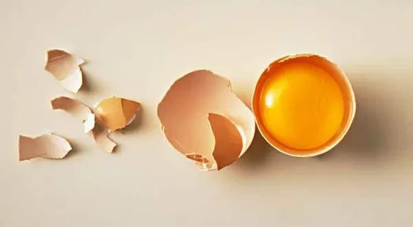 مدار الساعة,أخبار الأسرة