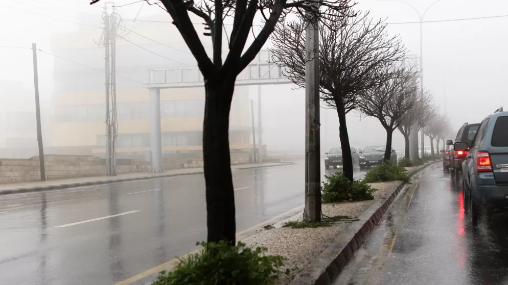 مدار الساعة,أخبار الأردن,اخبار الاردن,وزير الزراعة,وزارة الزراعة