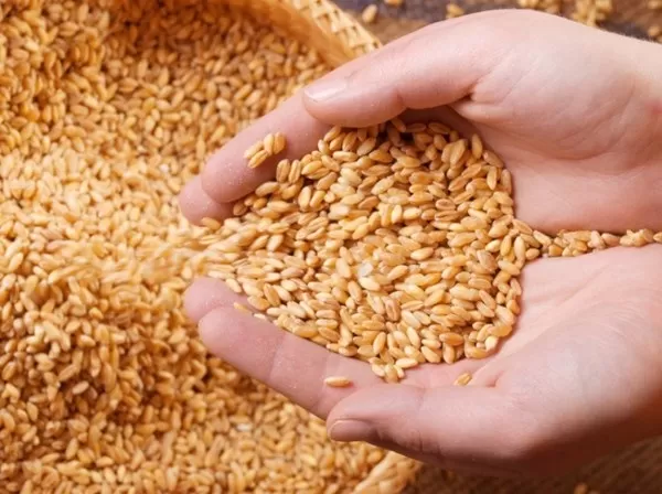 مدار الساعة,أخبار اقتصادية,وزارة الصناعة والتجارة,الجمارك الأردنية,وزارة الصناعة