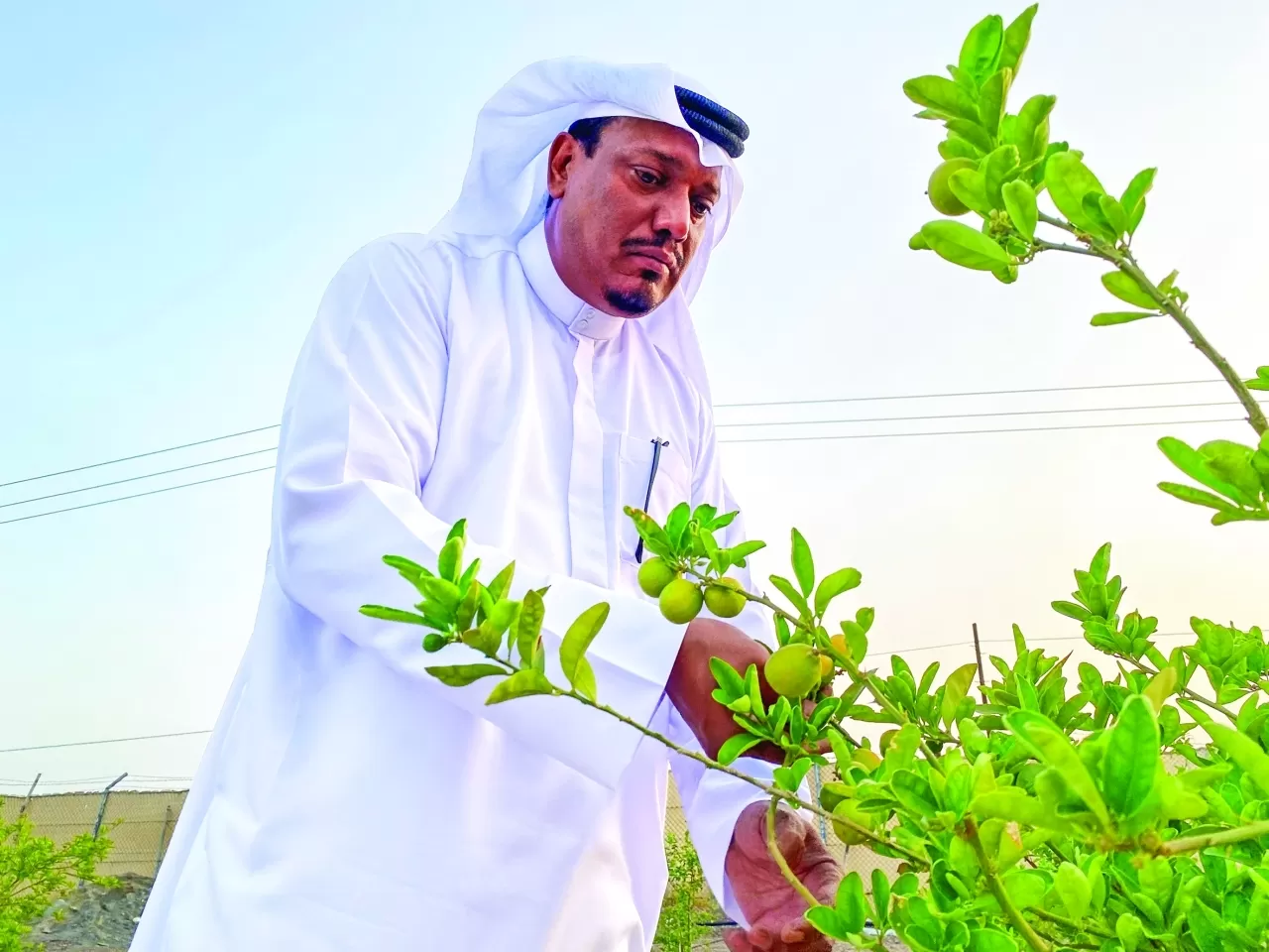 مدار الساعة,أخبار الأسرة