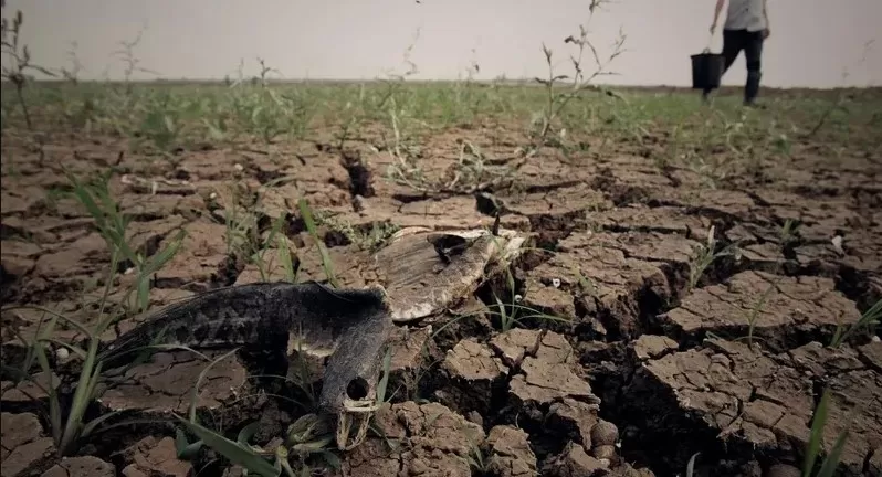 مدار الساعة,أخبار عربية ودولية,وزير الزراعة,وزارة الزراعة,وسائل التواصل الاجتماعي