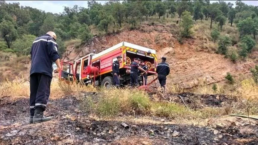 مدار الساعة,أخبار عربية ودولية,وزير الداخلية,وزارة العدل,الدفاع المدني