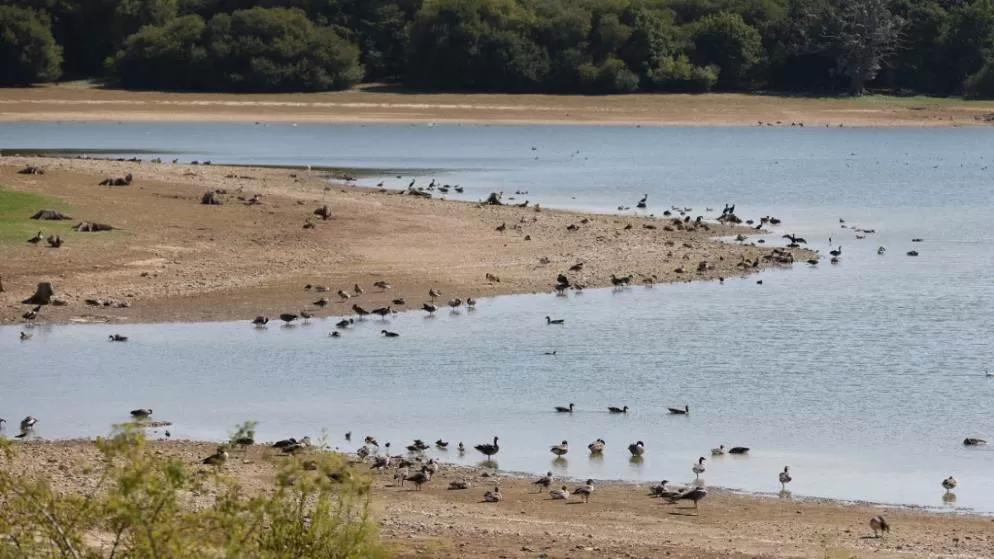 مدار الساعة,أخبار عربية ودولية