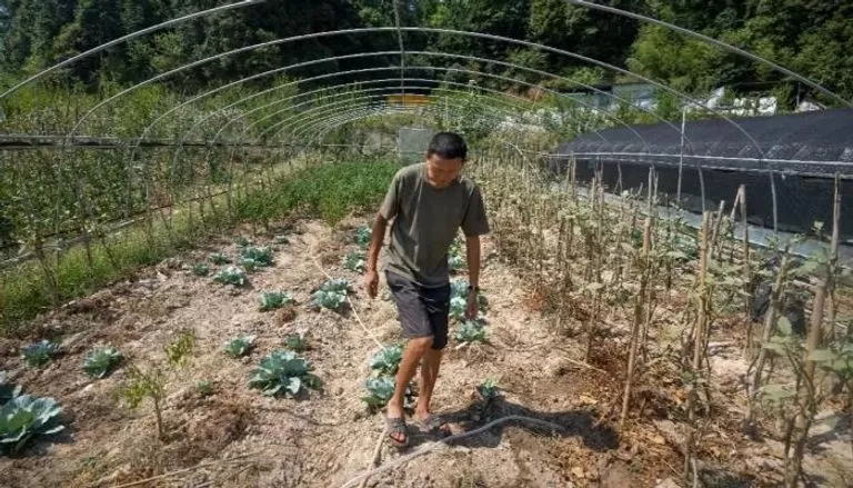 مدار الساعة,أخبار عربية ودولية,الأرصاد الجوية