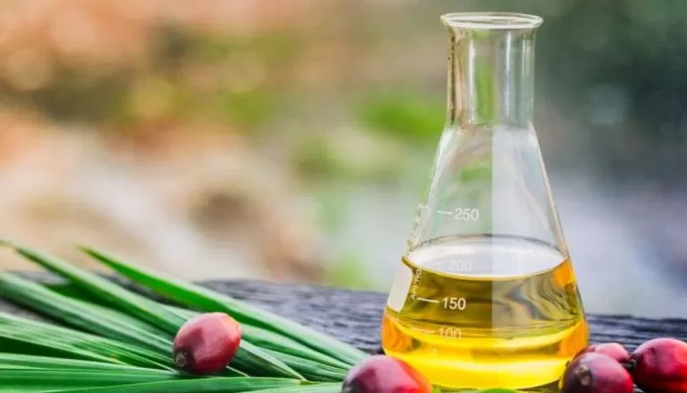 مدار الساعة,أخبار الأسرة,رئيس الوزراء