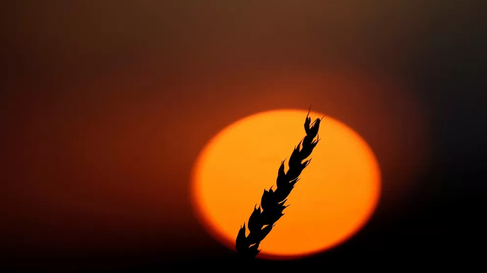 مدار الساعة,الطقس في الأردن اليوم,طقس الأردن,طقس العرب,طقس العرب الاردن,درجات الحرارة العظمى والصغرى,درجات الحرارة,الأرصاد الجوية,البحر الميت