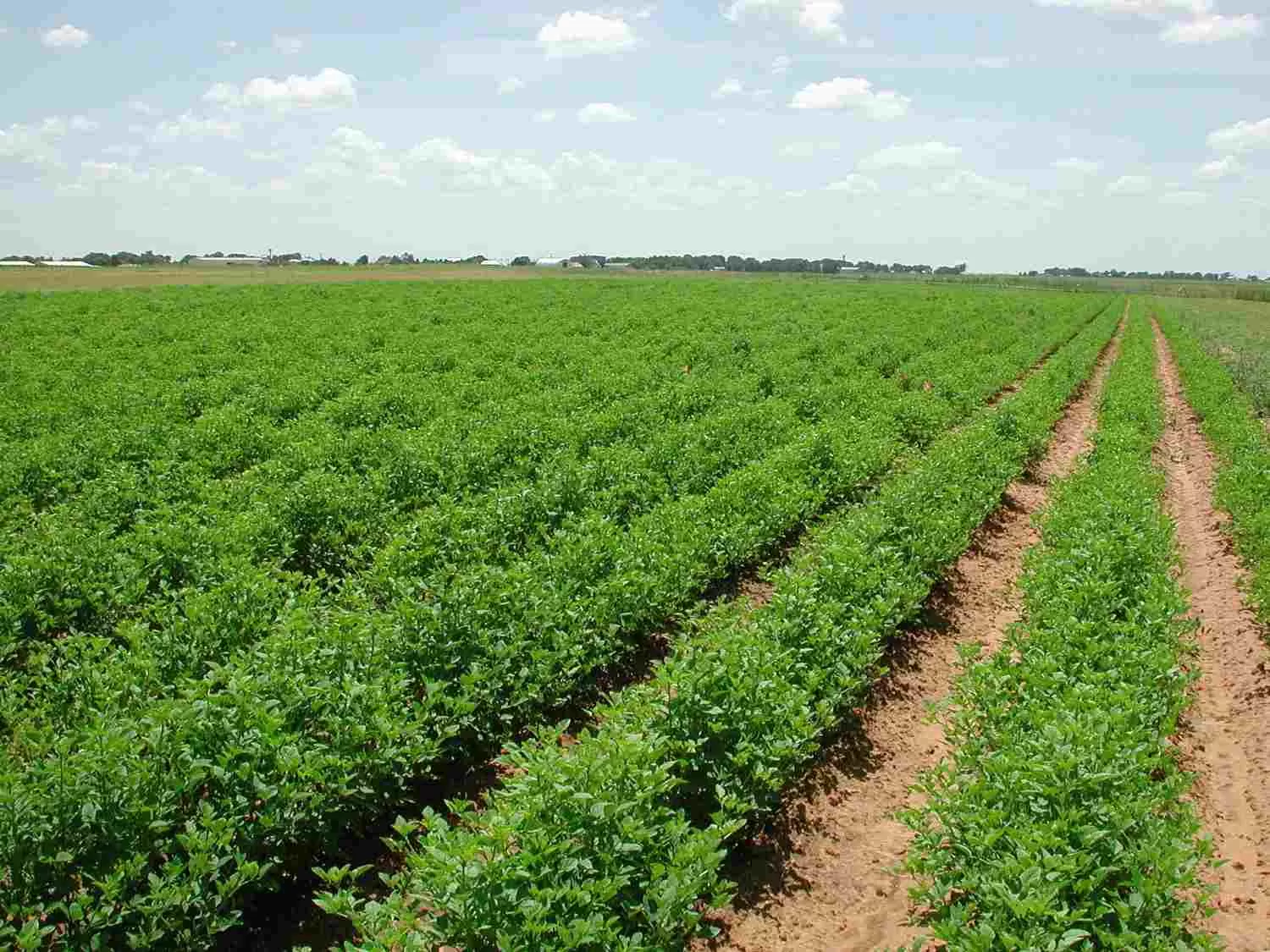 مدار الساعة,أخبار الأردن,اخبار الاردن,رئيس الوزراء,كورونا,الأمم المتحدة,التنمية المستدامة