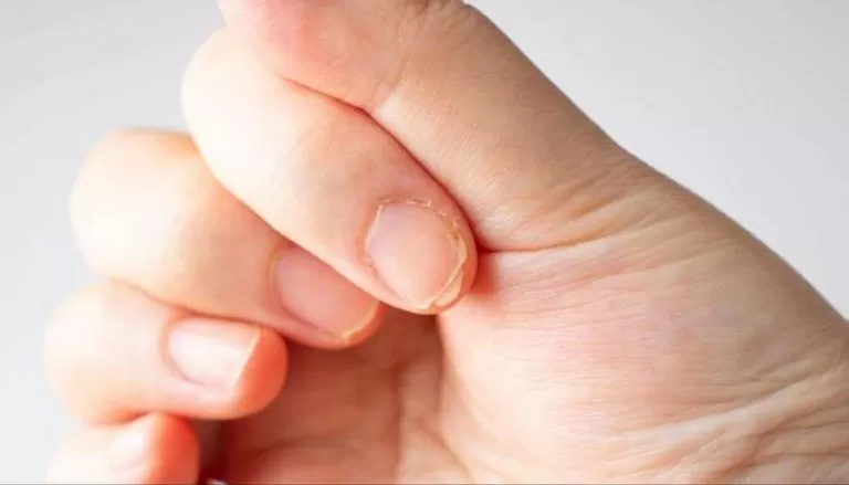 مدار الساعة,أخبار الأسرة