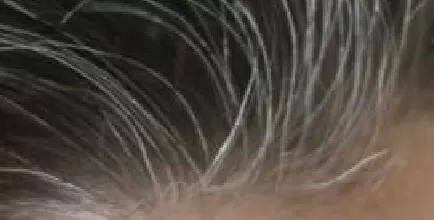 مدار الساعة,أخبار الأسرة