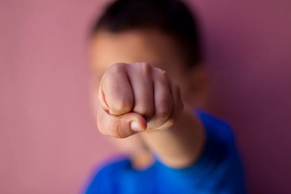 مدار الساعة,أخبار الأسرة