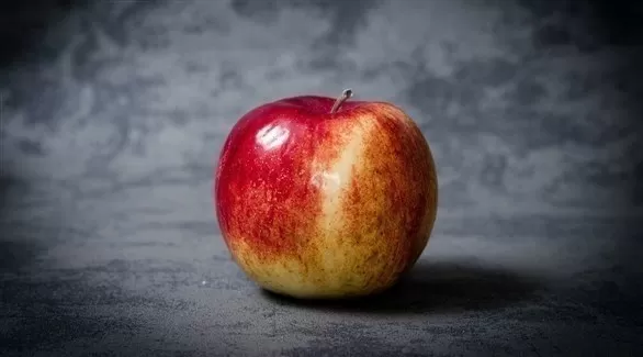 مدار الساعة,أخبار الأسرة