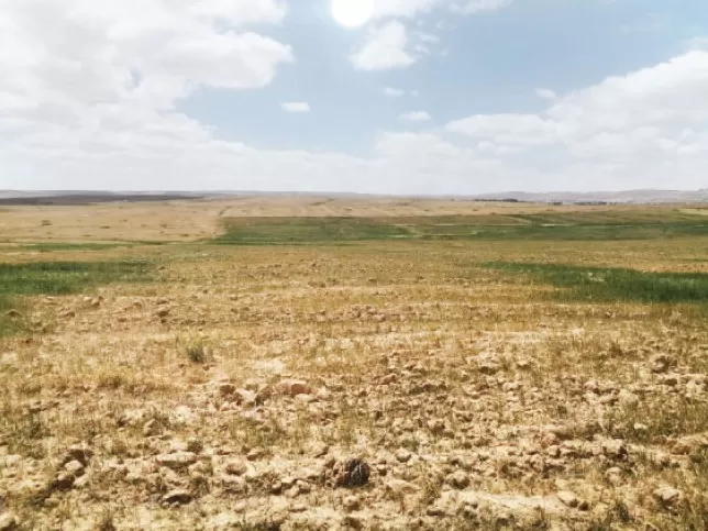 مدار الساعة,مناسبات أردنية,الجامعة الأردنية