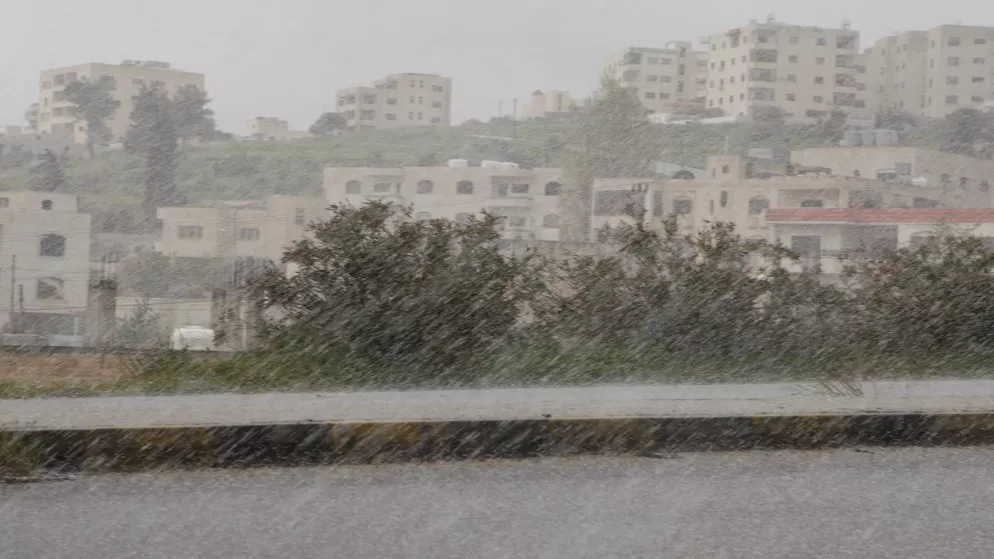 مدار الساعة,أخبار الأردن,اخبار الاردن,وزير الزراعة