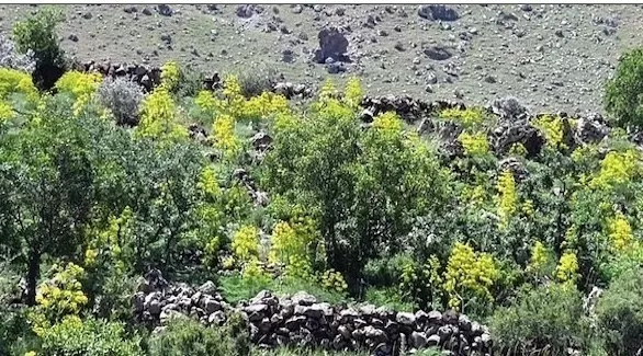 مدار الساعة,أخبار الأسرة