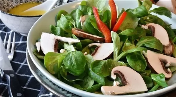 مدار الساعة,أخبار الأسرة