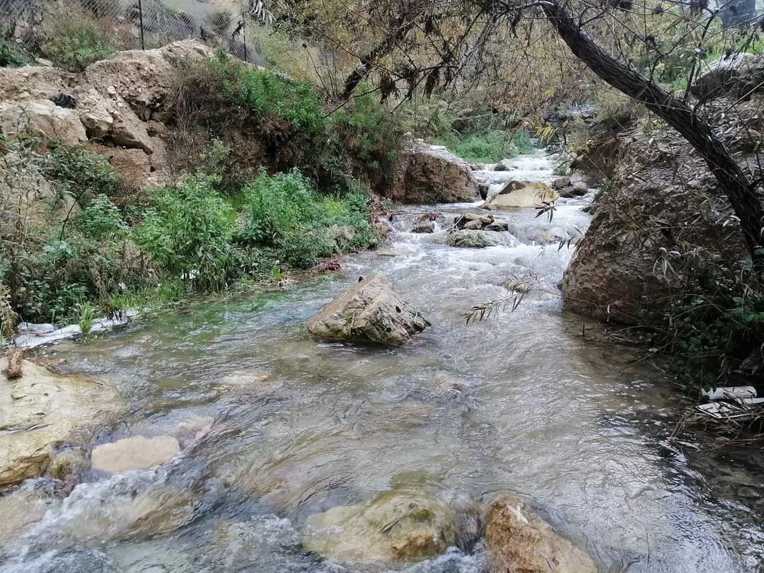 مدار الساعة,أخبار الأردن,اخبار الاردن