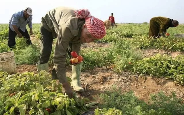 مدار الساعة,أخبار اقتصادية,الملك عبدالله الثاني,وزارة الزراعة