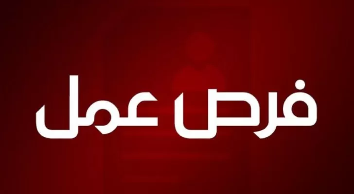 مدار الساعة,أخبار الأردن,اخبار الاردن,وزير العمل,مؤسسة التدريب المهني,صندوق التنمية والتشغيل,التدريب المهني,التنمية المستدامة