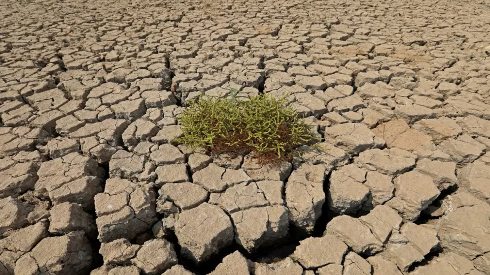مدار الساعة,أخبار عربية ودولية,درجات الحرارة