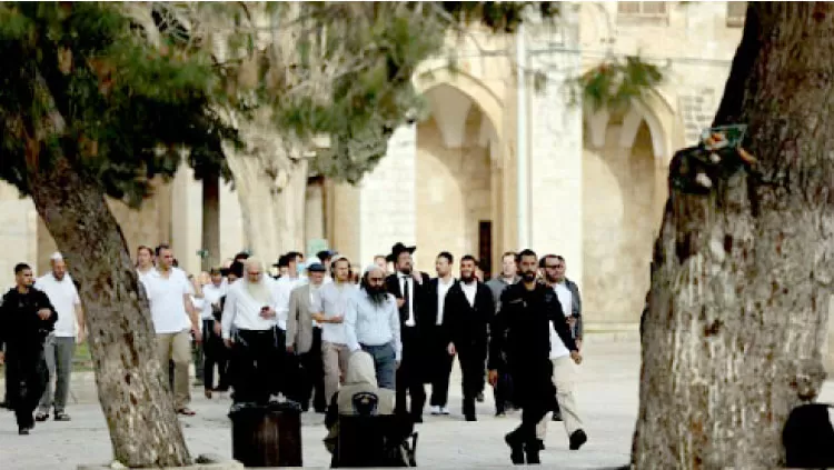 مدار الساعة,أخبار عربية ودولية,المسجد الأقصى