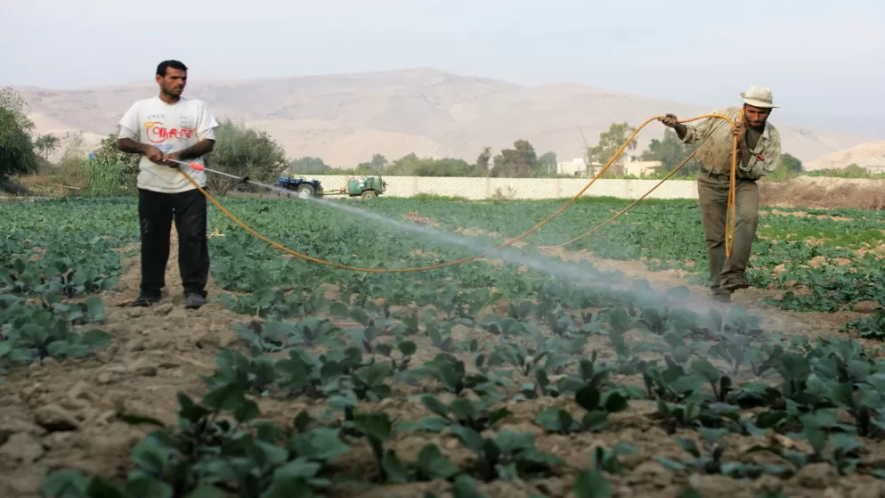 مدار الساعة,أخبار الأردن,اخبار الاردن,وزير الزراعة,كورونا,الملك عبد الله الثاني