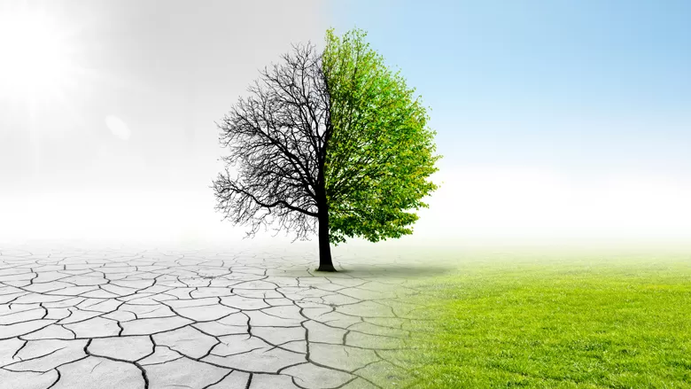 مدار الساعة,أخبار الأردن,اخبار الاردن,المملكة الأردنية الهاشمية,التنمية المستدامة