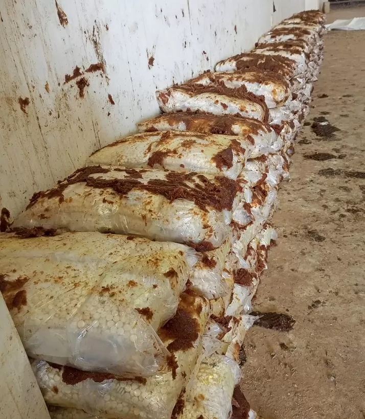 مدار الساعة,أخبار الأردن,اخبار الاردن,الجمارك الأردنية