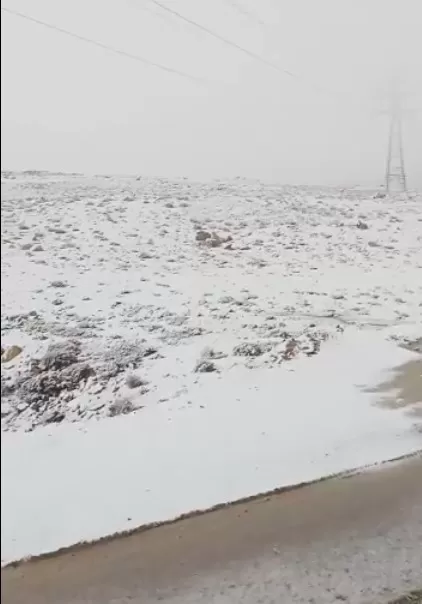 مدار الساعة,أخبار الأردن,اخبار الاردن,رأس النقب