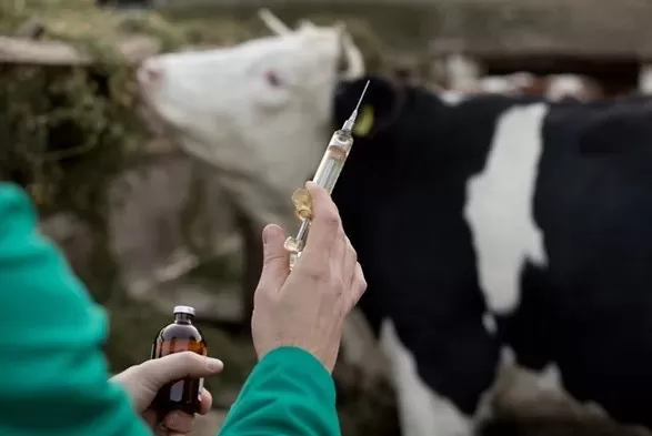 مدار الساعة,أخبار الأردن,اخبار الاردن,وزارة الزراعة,جامعة العلوم والتكنولوجيا