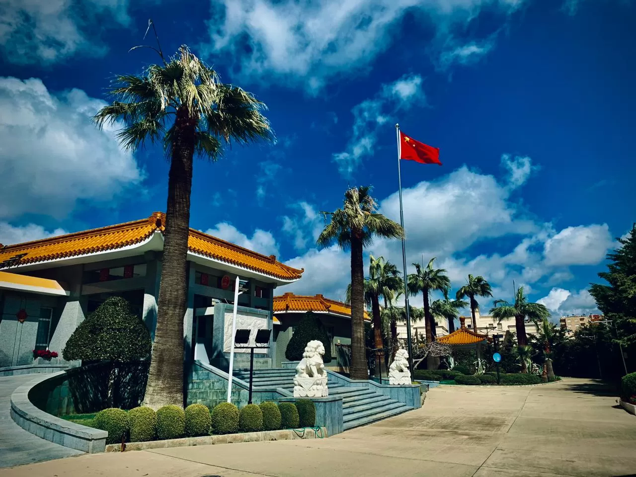 مدار الساعة,أخبار الأردن,اخبار الاردن,كورونا,منظمة الصحة العالمية