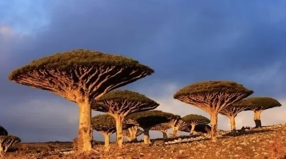 مدار الساعة,أخبار السياحة في الأردن