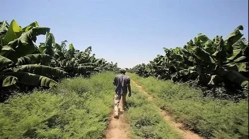 مدار الساعة,أخبار الأردن,اخبار الاردن,درجات الحرارة