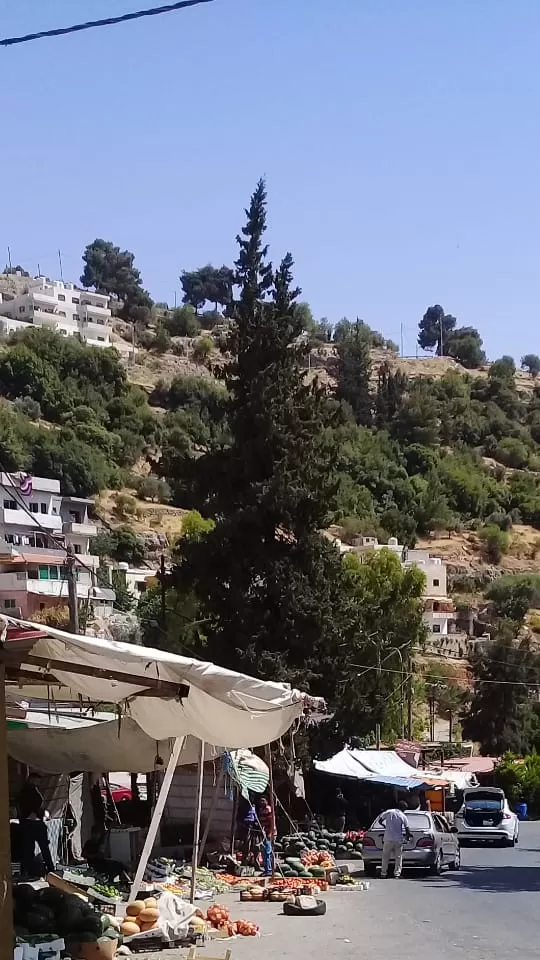 مدار الساعة,أخبار الأردن,اخبار الاردن,وزارة الإدارة المحلية,وكالة الأنباء الأردنية,البحر الميت