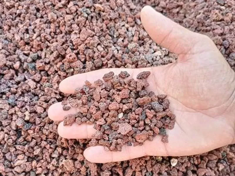 مدار الساعة,أخبار خفيفة ومنوعة