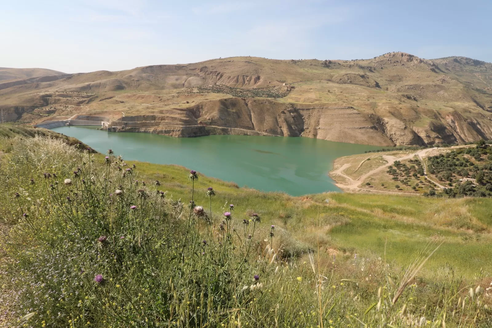 مدار الساعة,أخبار الأردن,اخبار الاردن,وزارة المياه والري,سلطة وادي الأردن,وزارة المياه,وادي الأردن