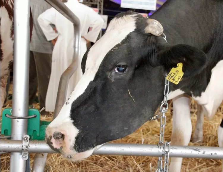 مدار الساعة,أخبار الأردن,اخبار الاردن,وزير الزراعة