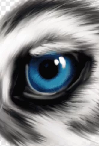 مدار الساعة,أخبار الأردن,اخبار الاردن,الهيئة المستقلة للانتخاب,حزب رؤية