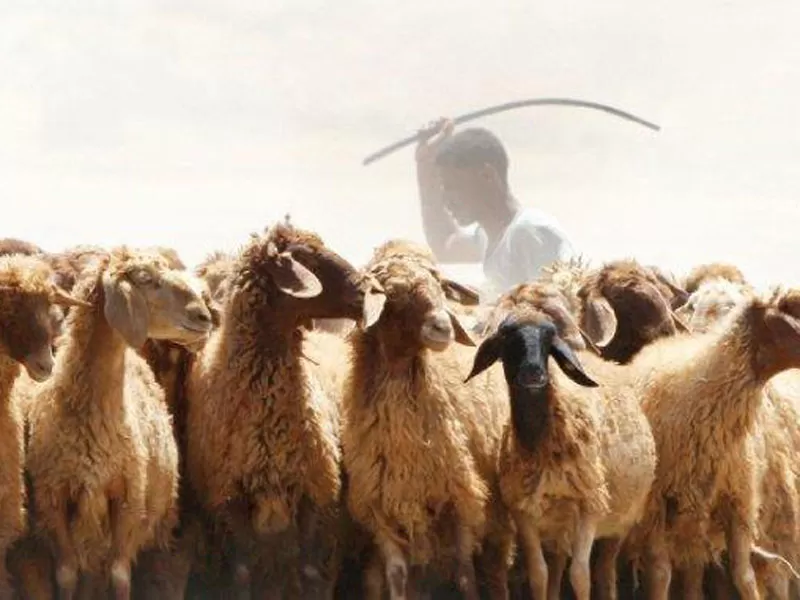 مدار الساعة,أخبار الأردن,اخبار الاردن