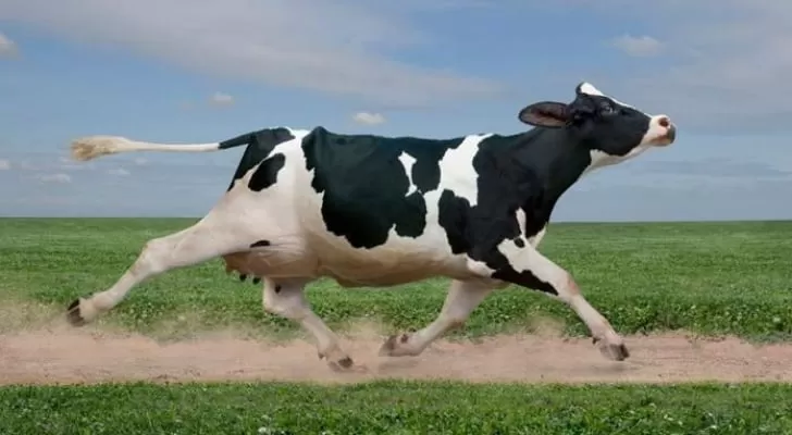 مدار الساعة,أخبار الأردن,اخبار الاردن,وزير الزراعة,خالد حنيفات,وزارة الزراعة,جامعة العلوم والتكنولوجيا,نقابة الأطباء