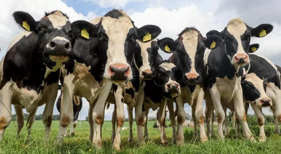 مدار الساعة,أخبار الأردن,اخبار الاردن,وزير الزراعة,وزارة الزراعة,مجلس النواب