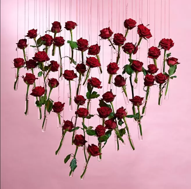 مدار الساعة,أخبار الأردن,اخبار الاردن,أمانة عمان