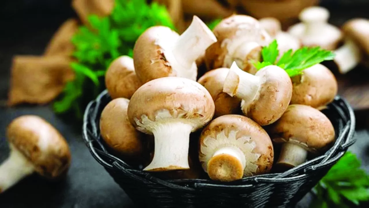 مدار الساعة,أخبار الصحة والأسرة