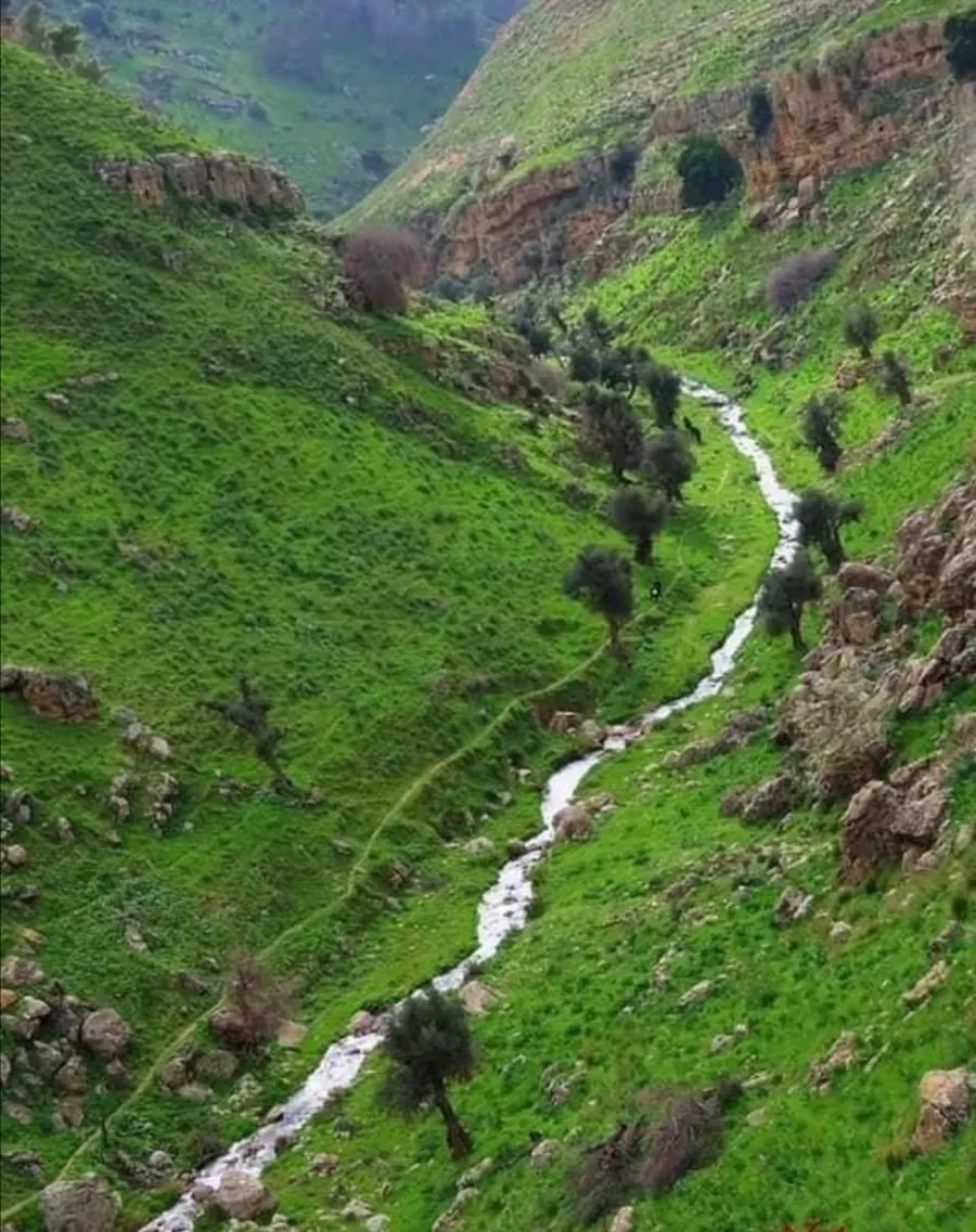 مدار الساعة,أخبار السياحة في الأردن,سلطة المياه,وكالة الأنباء الأردنية